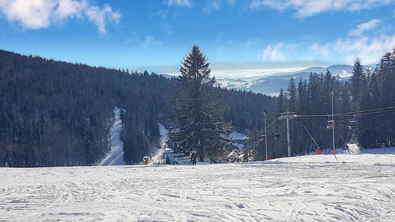 Chalex Vila Aigen im Mühlkreis Exterior foto
